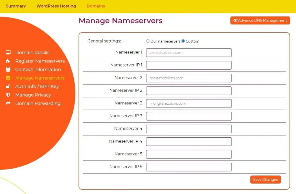 Nameservers