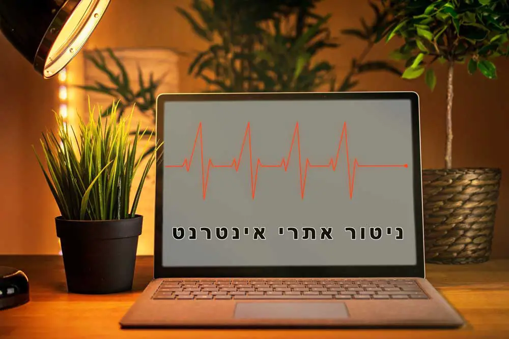 ניטור אתרי אינטרנט