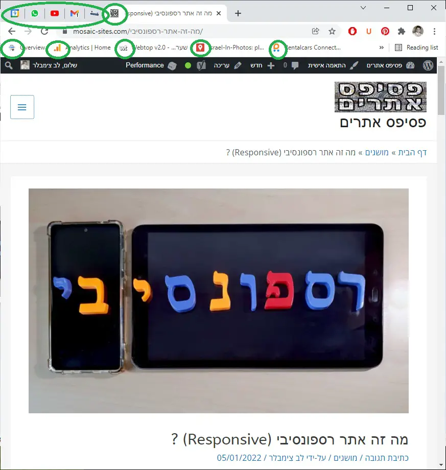 דוגמאות לפביקונים